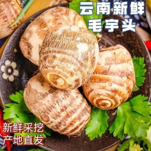 云南现挖高山牛奶芋头新鲜芋头芋仔软糯小毛芋小芋头蔬菜整箱包邮