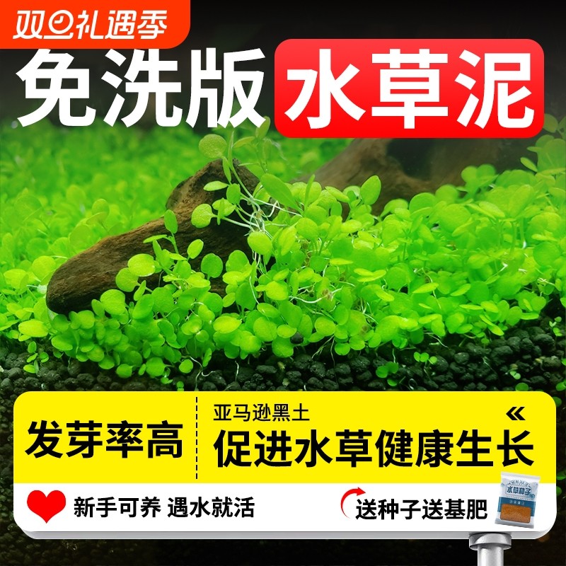 水草泥火山石底砂古法养鱼基肥水培造景鱼缸造景净水水族鱼缸滤材