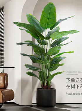 天堂鸟仿真绿植高端|千人加购