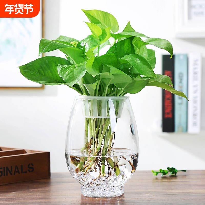 透明玻璃花瓶桌面水培绿萝观音竹鱼缸容器摆件台面圆柱客厅手工