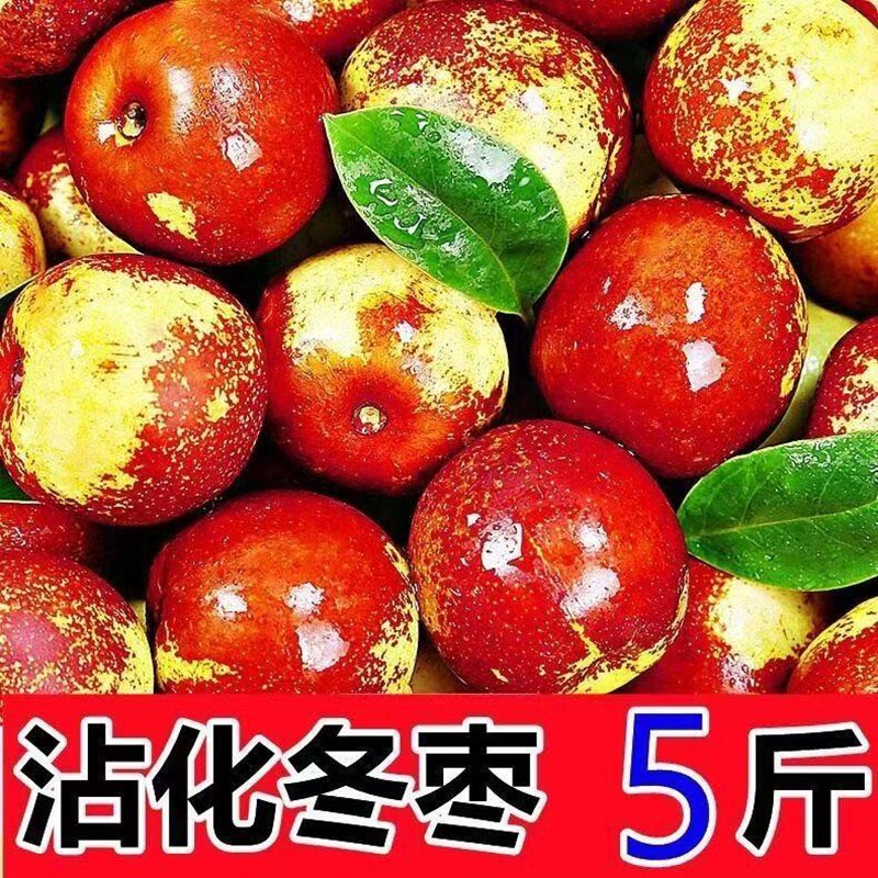现摘正宗山东沾化冬枣脆甜当季枣子鲜枣新鲜水果孕妇特产整箱大果