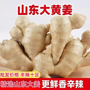 地头价正宗山东生姜大姜3斤/5斤新鲜农家老黄姜月子干姜农家种植