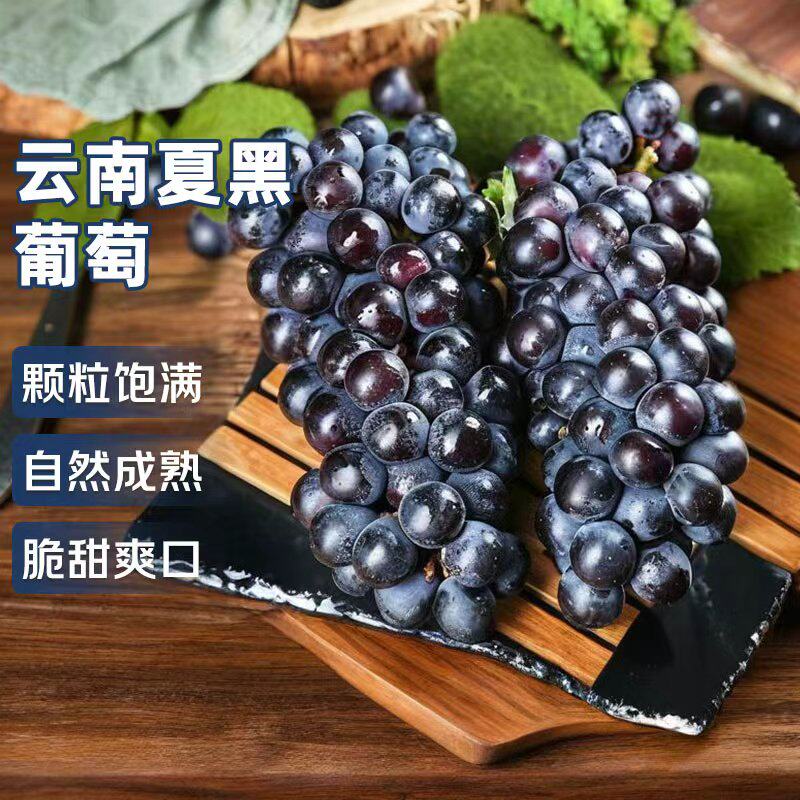 云南夏黑葡萄5斤新鲜无籽黑加仑提子孕妇水果整箱包邮4果肉现摘