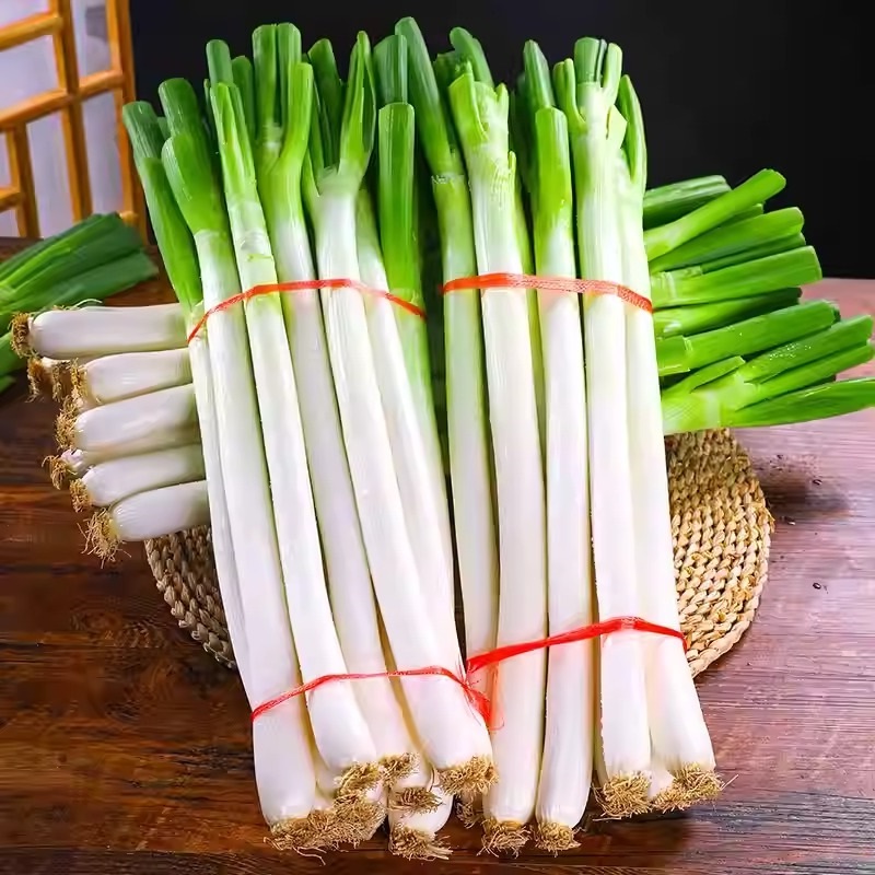 头茬铁杆大葱正宗农家露天种植脆嫩微辣纯正精品便宜批发易储存