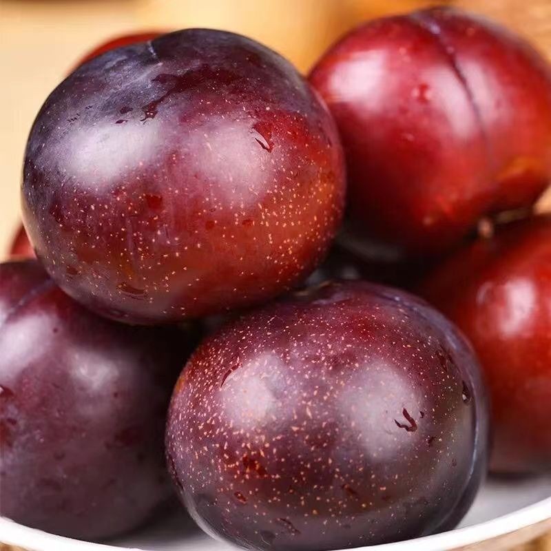 黑布林李子新鲜5斤大果酸脆多汁孕妇应季水果现摘现发包邮