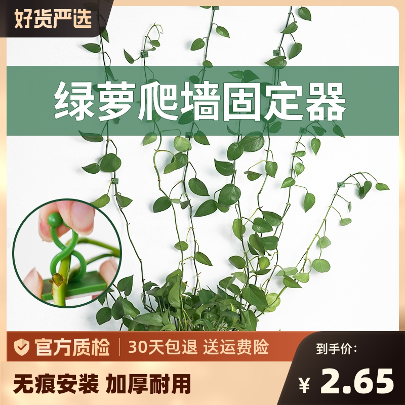 绿箩固定器绿植攀爬夹子无痕挂钩