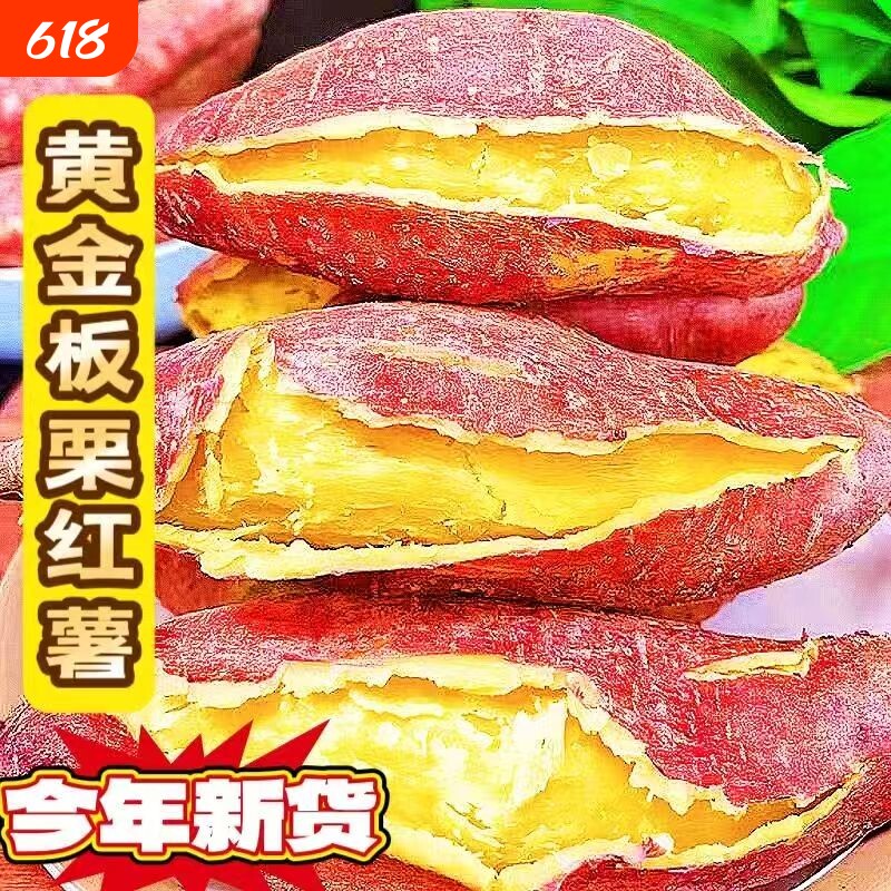 正宗板栗薯新鲜现挖粉糯香甜无筋黄心番薯农家沙地板栗红薯地瓜