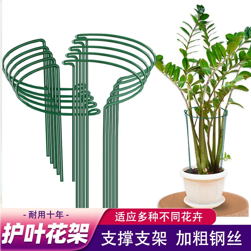 铁艺防倒伏护花架|超5000次加购图片
