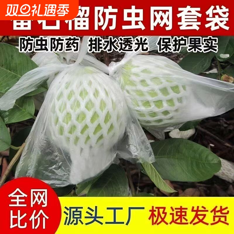 番石榴网套袋水果防虫一体袋芭乐套袋泡沫保护袋胶袋番石榴防虫袋