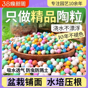 保湿彩色陶粒铺面彩陶颗粒水培绿植透气多肉专用彩石养花吸水盆栽