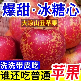 大凉山丑苹果冰糖心水果新鲜当季整箱9斤包邮盐源四川红富士平果