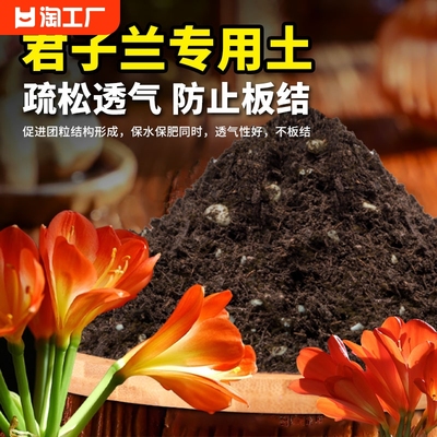 君子兰专用土兰花通用型有机肥料