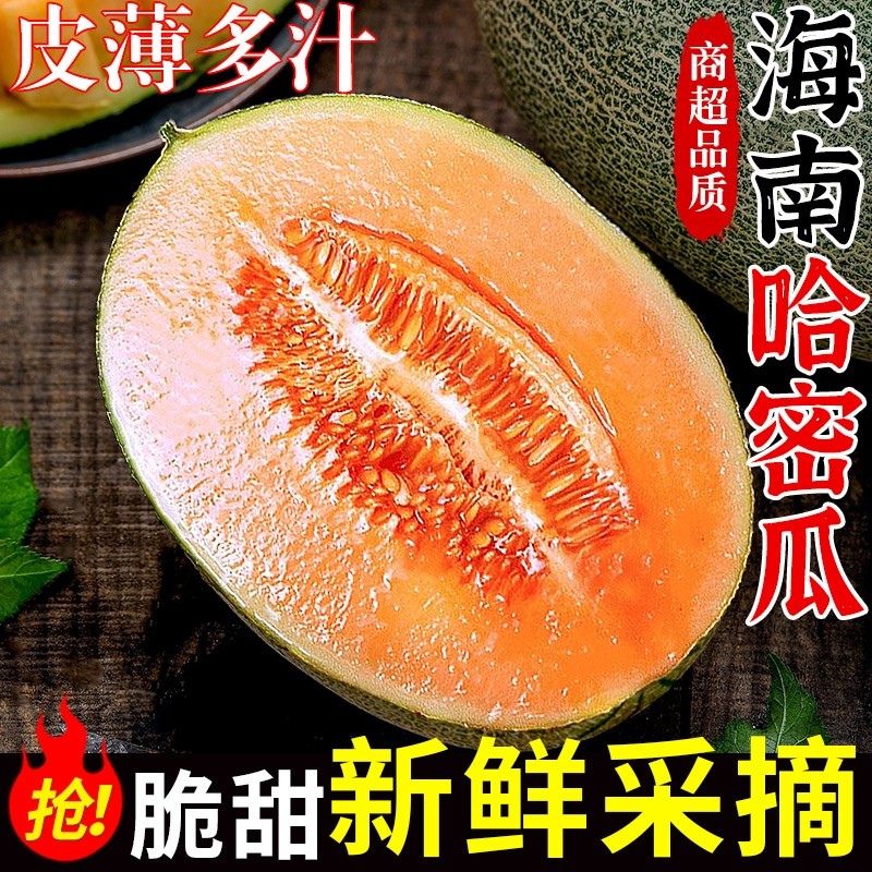 海南哈密瓜新鲜水果当季正宗玫珑蜜瓜冰淇淋网纹整箱包邮西州,水产肉类/新鲜蔬果/熟食,哈密瓜,淘宝优惠券,粉丝福利购,淘宝优惠卷