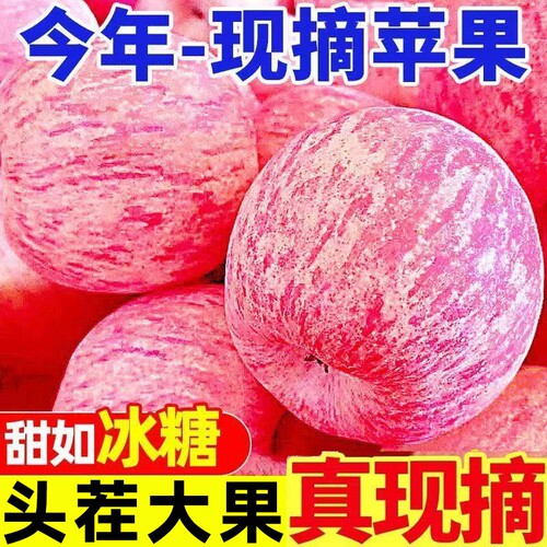 26年陕西红富士苹果水果9斤应当季新鲜整箱脆甜冰糖心丑苹果包邮
