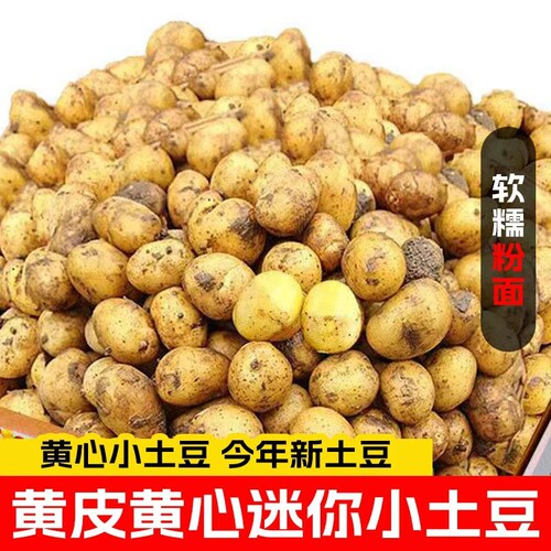 恩施小土豆新鲜马铃薯