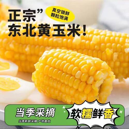 东北黄糯玉米棒新货真空包装黄苞米现摘新鲜粘玉米玉米粒粗粮代餐