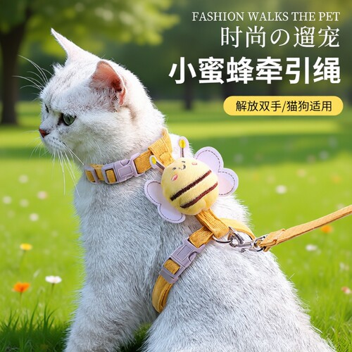 猫咪小蜜蜂牵引绳防挣脱