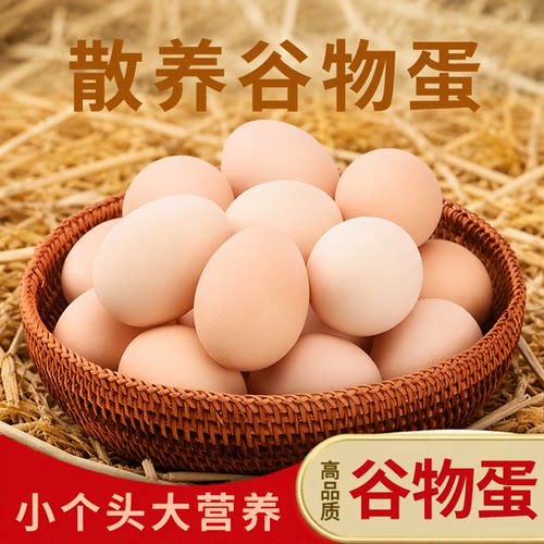 农家散养鲜鸡蛋60枚*40g初生蛋新鲜生鸡蛋食材水煮蛋早餐蛋谷物