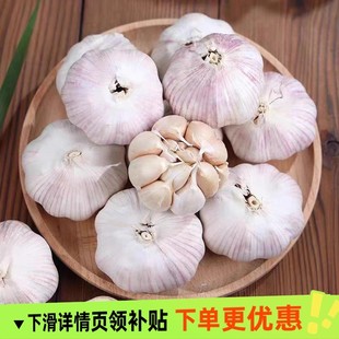 当季新大蒜薄皮干蒜新干蒜紫白皮蒜农家日晒大果优质天然非独头蒜