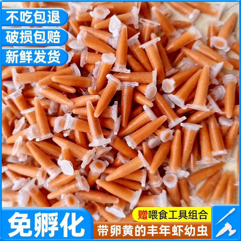 丰年虾卵孔雀鱼鱼饲料冻幼虫专用鱼苗饲料开口鱼粮水母幼鱼孵化