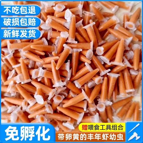 超细丰年虾卵冰冻幼虫