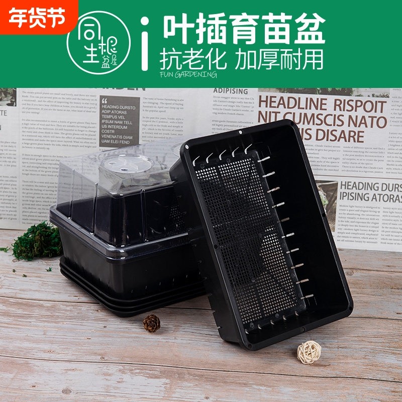 多肉叶插育苗盆加厚塑料小号生石花肉锥育苗盘草莓种植播种花盆,鲜花速递/花卉仿真/绿植园艺,育苗盘/营养钵,淘宝优惠券,粉丝福利购,淘宝优惠卷