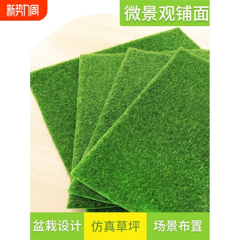 彷真草坪青苔人工草假藓苔藓多肉微景观diy装饰材料植绒草皮苔藓