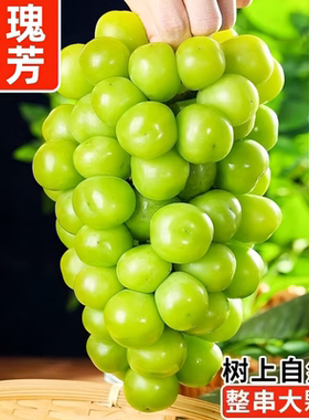 阳光玫瑰葡萄5斤当季无籽香印提子青提晴王新鲜水果京东鲜果自提