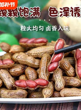 五香味500g袋新鲜带壳卤味花生五香水煮真空小袋卤汁熟食卤煮