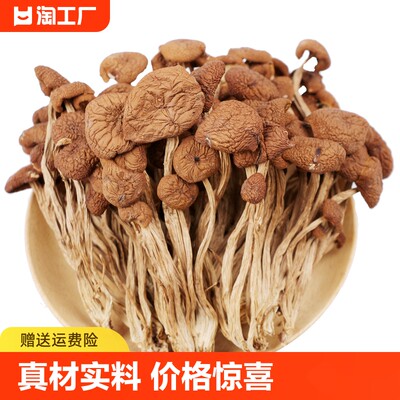 煲汤佳肴茶树菇袋装手工挑选