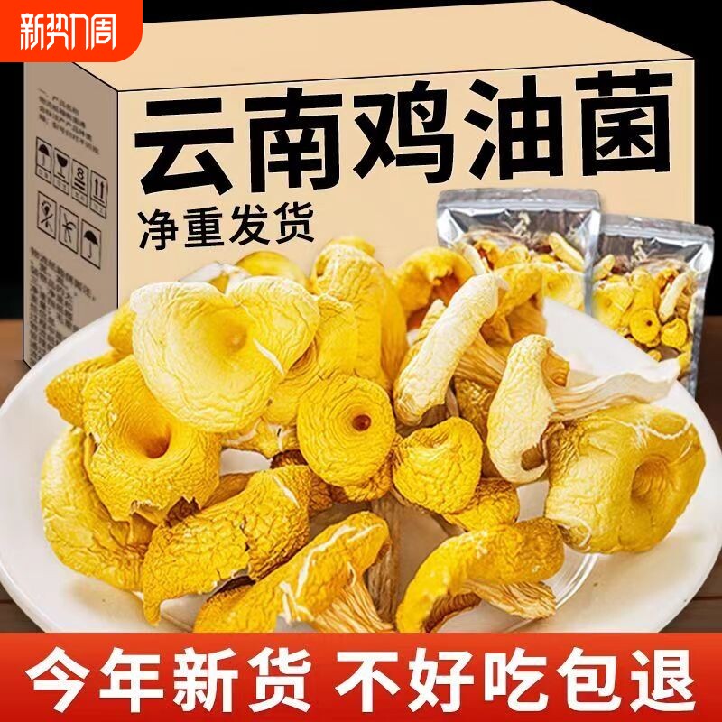 鸡油菌干货菌云南蘑菇新鲜干黄丝菌菇黄金菇榆黄菇煲汤500g香菇
