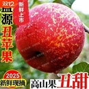 正宗冰糖心丑苹果脆甜新鲜水果当季 爆甜红富士整箱批发现摘发货