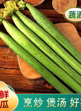 寿光源头新鲜丝瓜农家自种长丝瓜绿色蔬菜线应季批发现摘