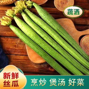 寿光源头新鲜丝瓜农家自种长丝瓜绿色蔬菜线丝瓜寿光应季蔬菜批发