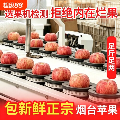 烟台红富士苹果应当季新鲜水果整箱山东栖霞冰糖心丑平果整箱包邮