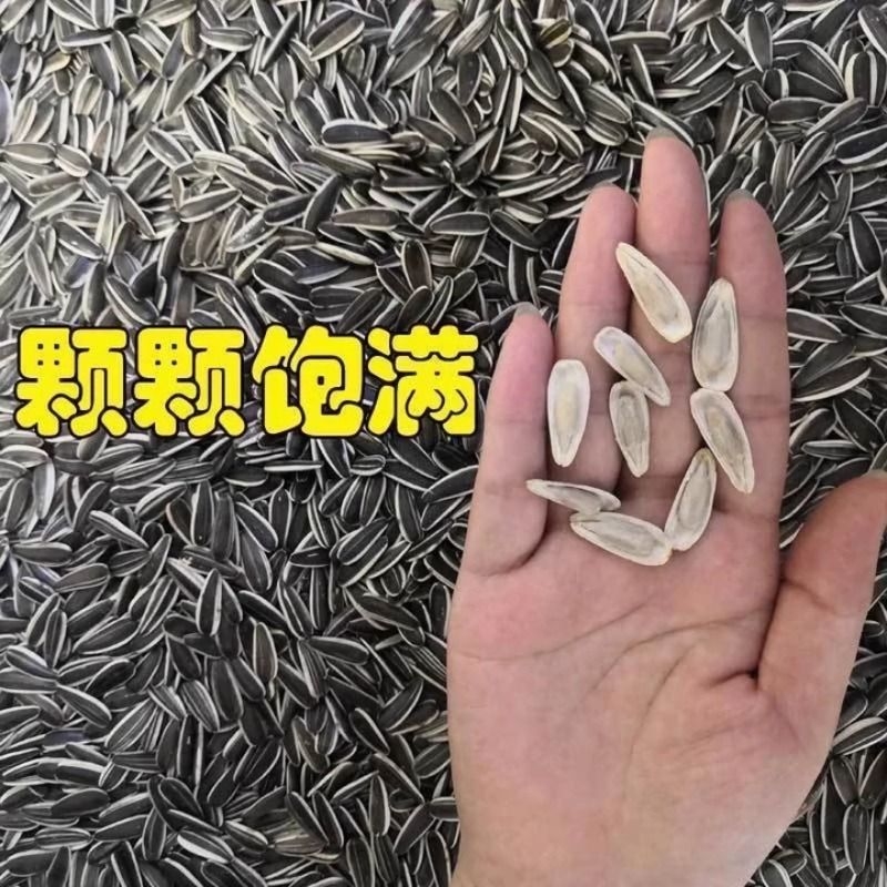 原味大颗粒炒货生瓜子葵花籽新货内蒙古特产批发零食熟葵花子新鲜