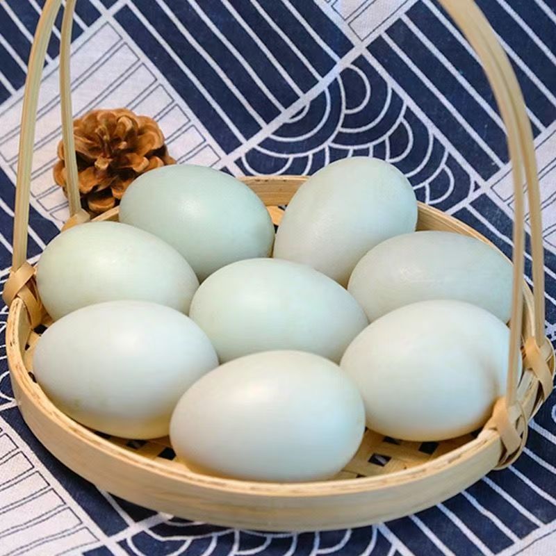 正宗黄河滩农家散养新鲜生鸭蛋50g营养丰富