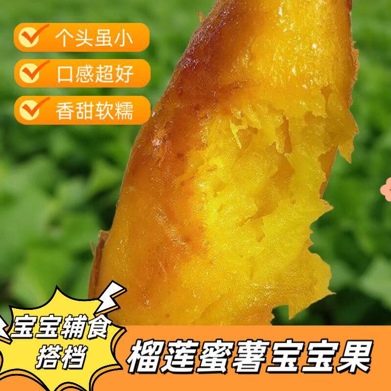 正宗榴莲流油商用糖心稀蜜薯血管地瓜新货烤红薯红心密薯