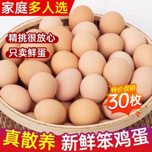 正宗山林散养土鸡蛋虫草蛋谷物蛋笨鸡蛋孕妇营养月子初生蛋多规格