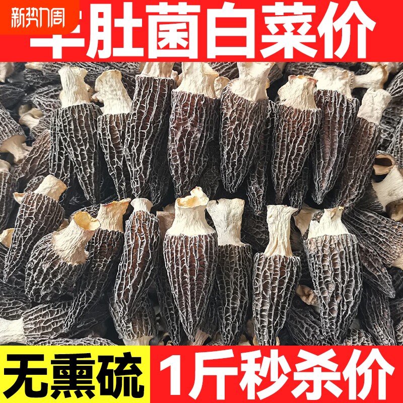 云南特产羊肚菌干货新鲜牛肚菌菇煲汤食材农家香菇非野生年货美味