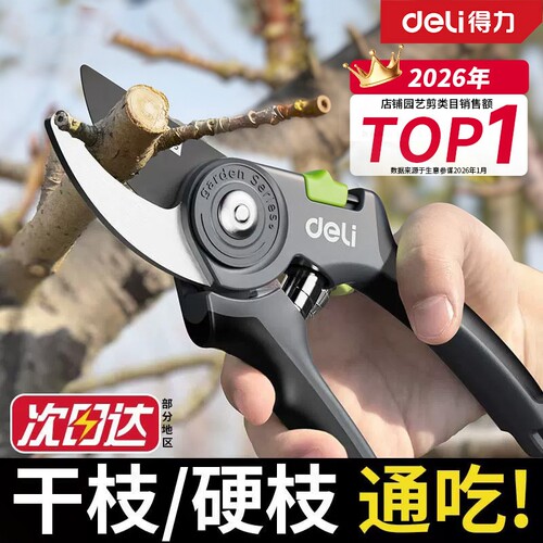 得力修剪树枝剪刀修枝剪果树剪枝