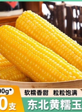 25年头茬东北鲜食糯玉米棒真空装甜玉米粗粮新鲜苞米大棒整支10支