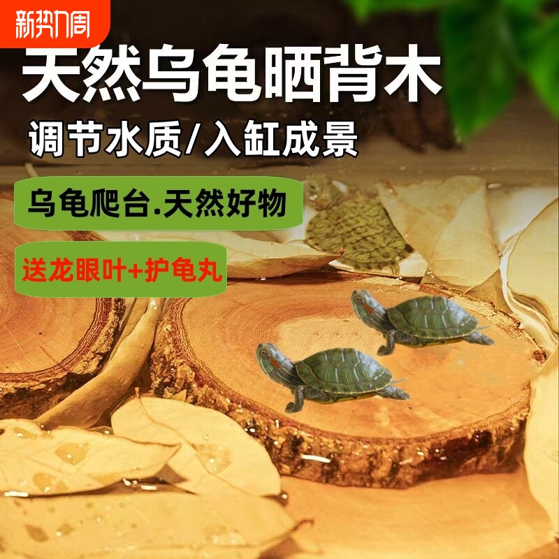 乌龟晒背台龙眼木爬台高水位天然防腐烂甲造景摆件沉木龟缸养龟