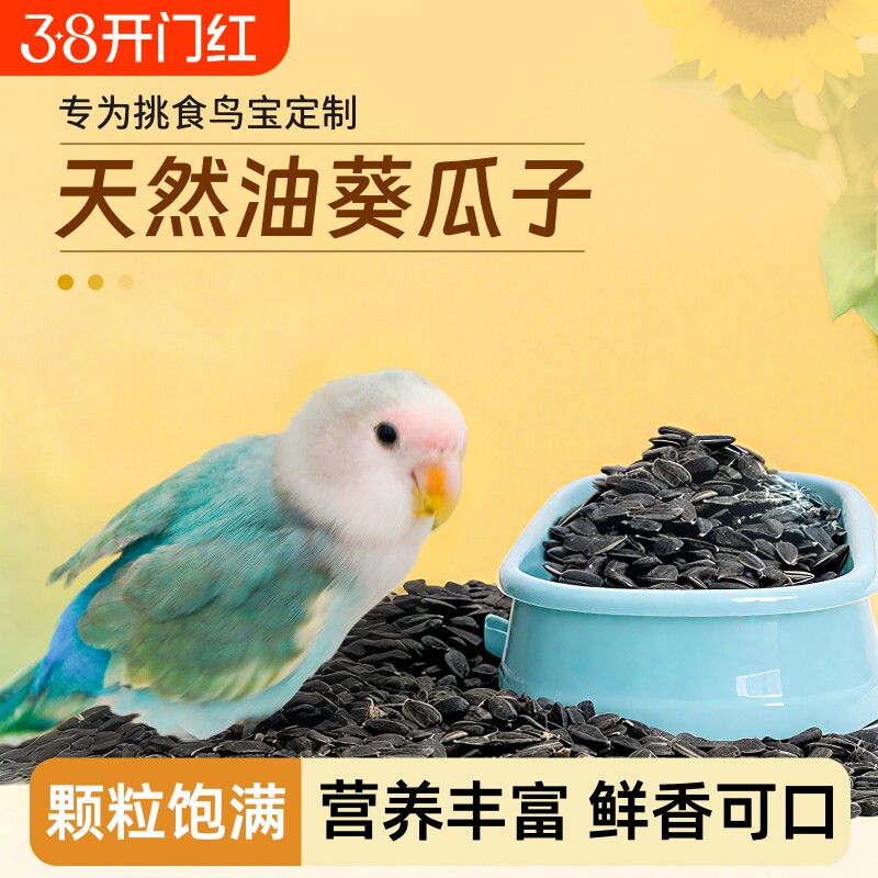 鹦鹉小瓜子零食天然油葵黑瓜子鸟粮饲料玄凤牡丹虎皮专用训练奖励
