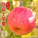 正宗陕西红富士苹果现摘冰糖心新鲜水果10斤整箱脆甜香菇每日酸甜