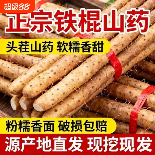 温县垆土铁棍山药正宗河南焦作新鲜生铁杆怀山淮山药特产淮山药
