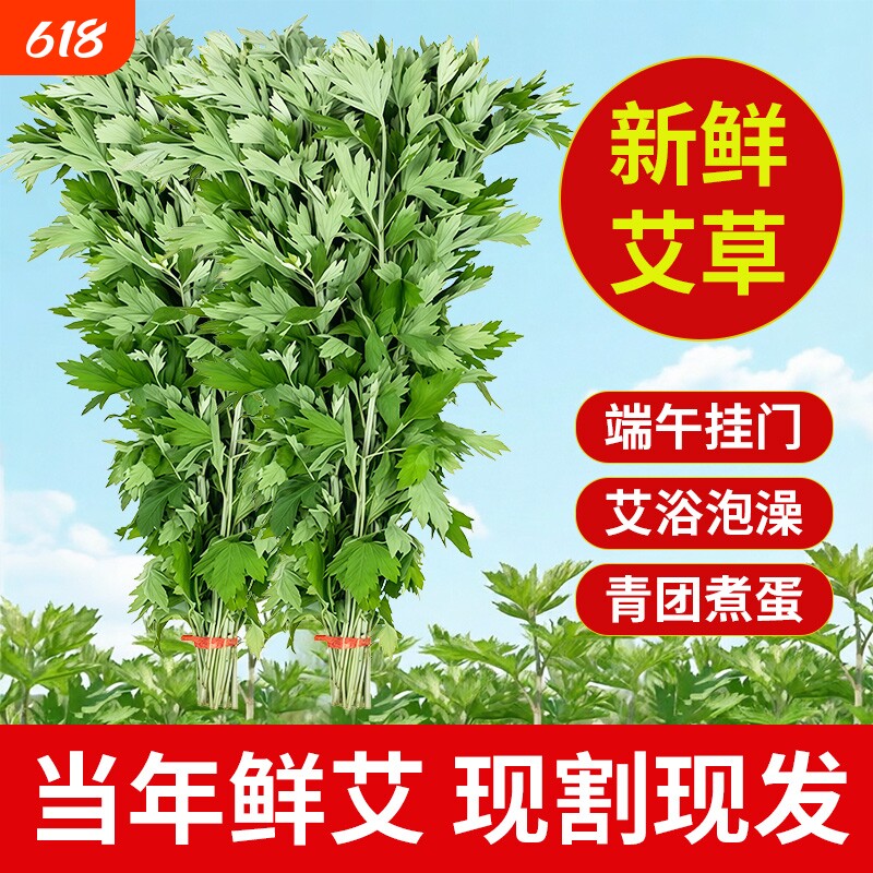 端午节新鲜艾草花束挂门窗礼品装饰整棵带杆泡澡礼品挂饰diy成品