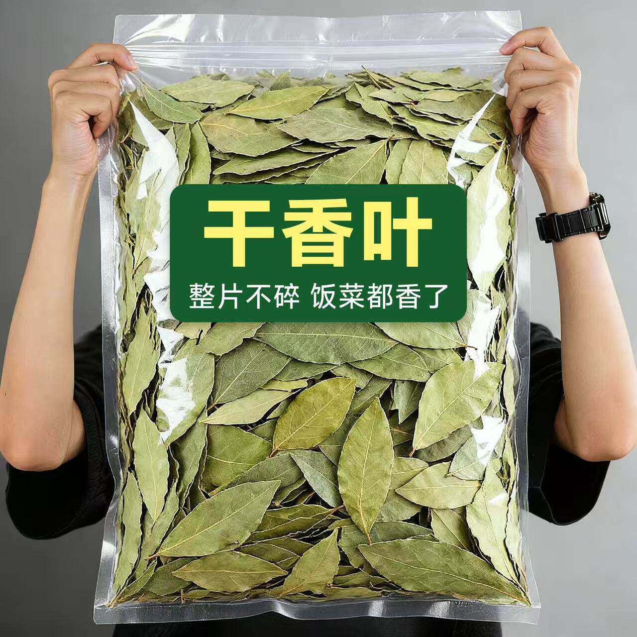 新鲜头茬香叶新货广西无硫香料卤料家用商用食用批发月桂叶