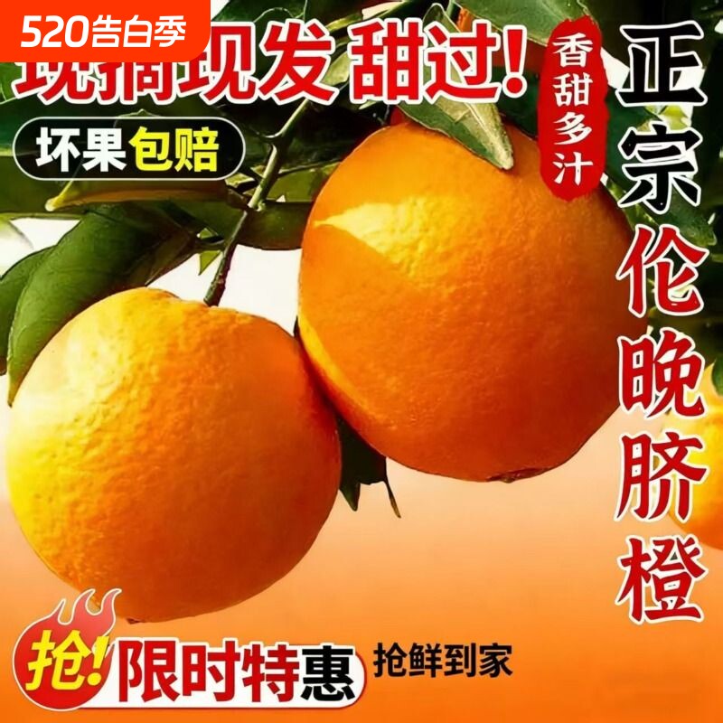 正宗湖北秭归伦晚春橙脐橙香甜橙子当季水果现摘现发整箱新鲜大果