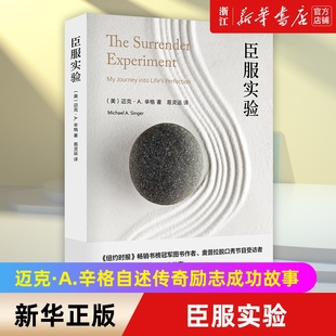 【任选】臣服实验全新版 迈克·A.辛格作品系列全集 从隐居者到上市公司CEO的人生 清醒地活活出不羁人生 真实的人生励志故事